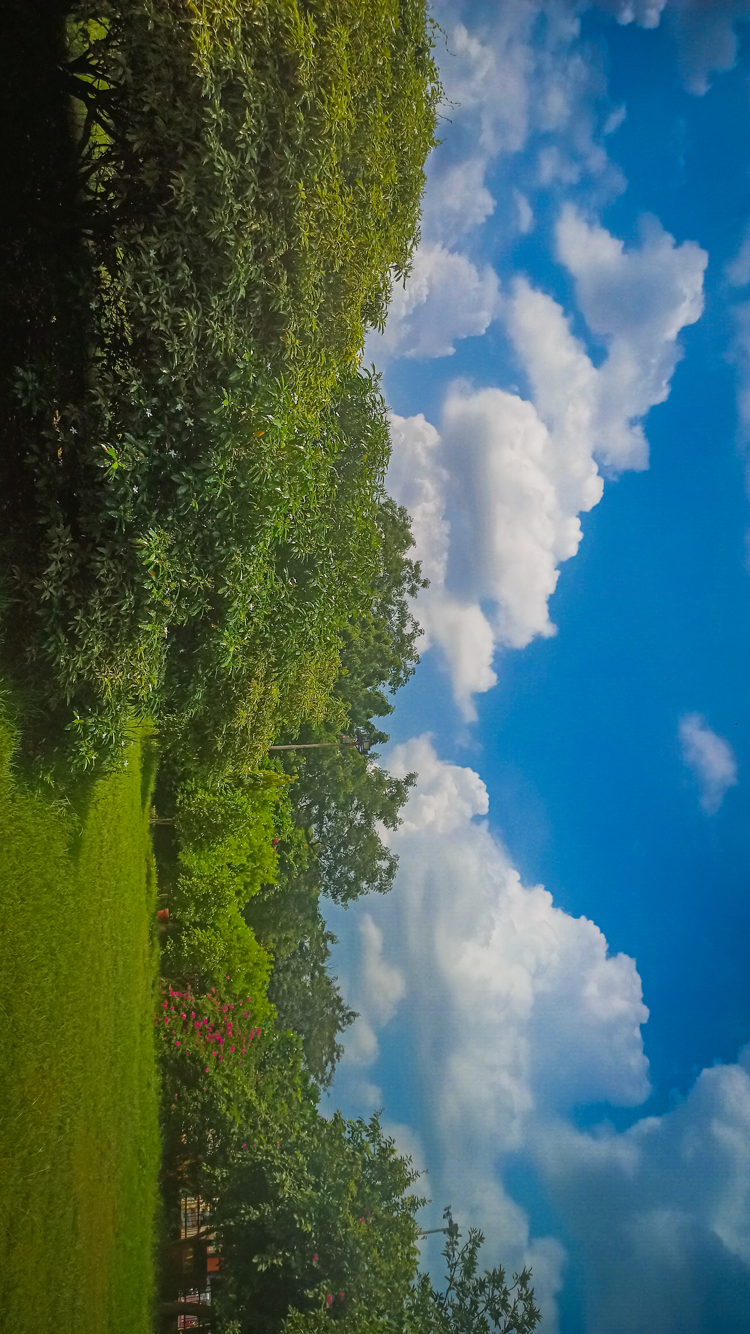 lush green parks